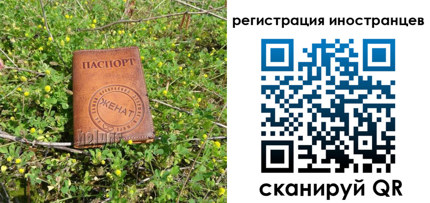 прописка регистрация в Липецке